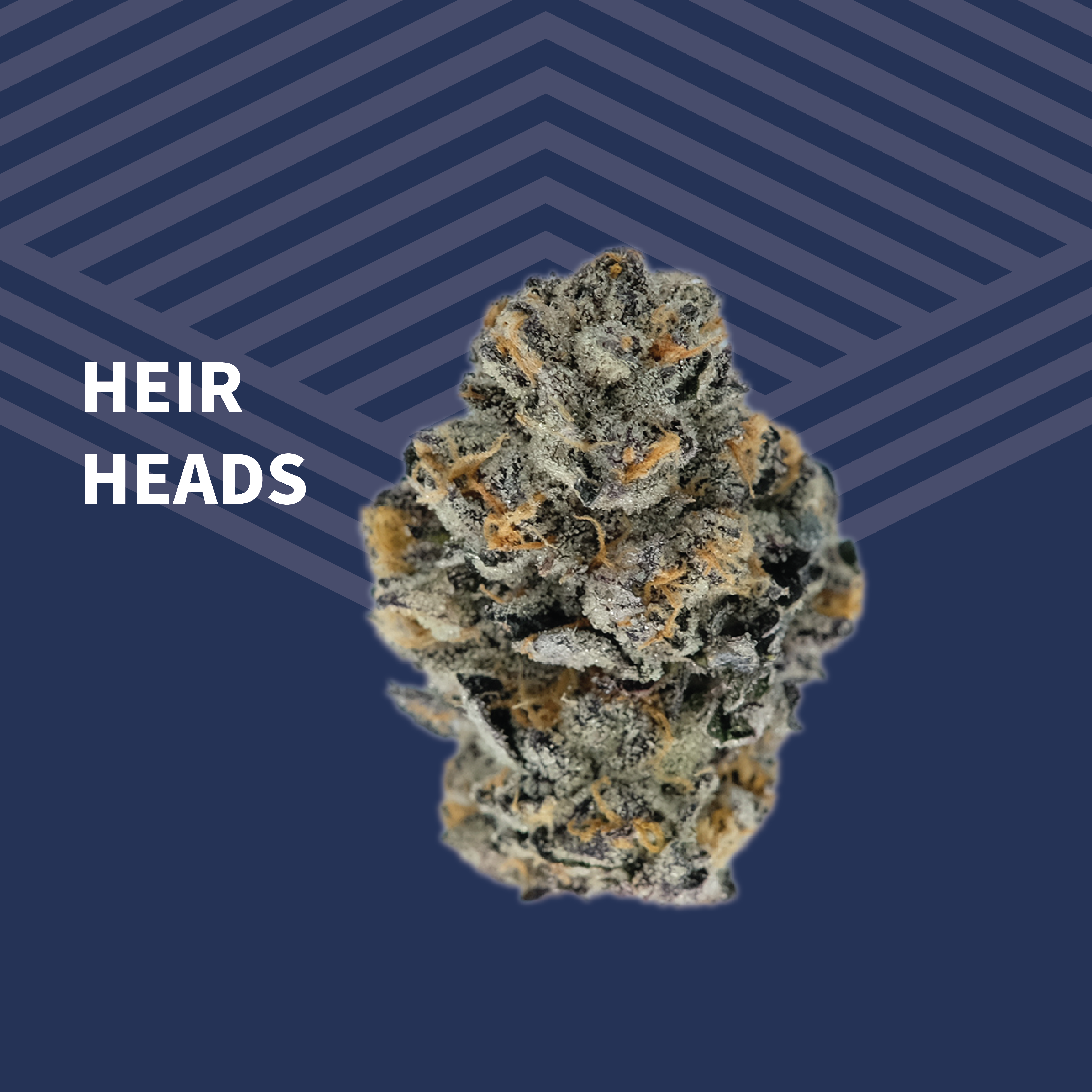 Heir Heads