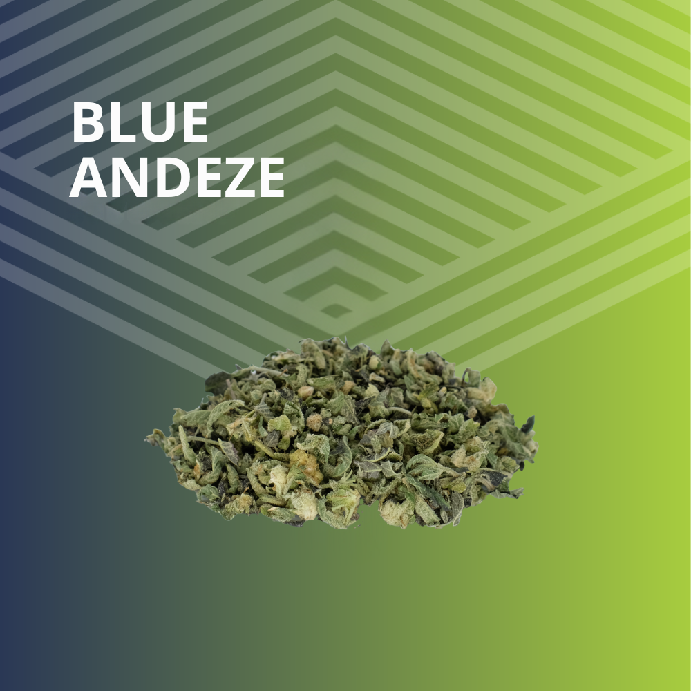Blue Andeze Trim