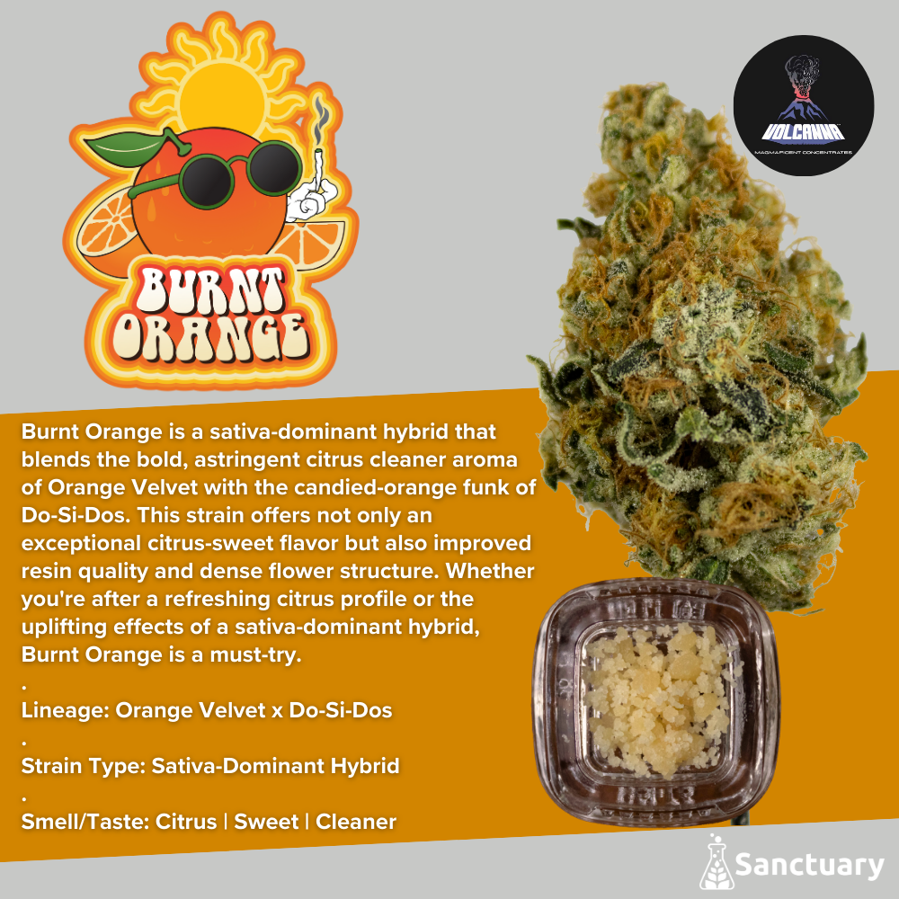 Crumble Burnt Orange