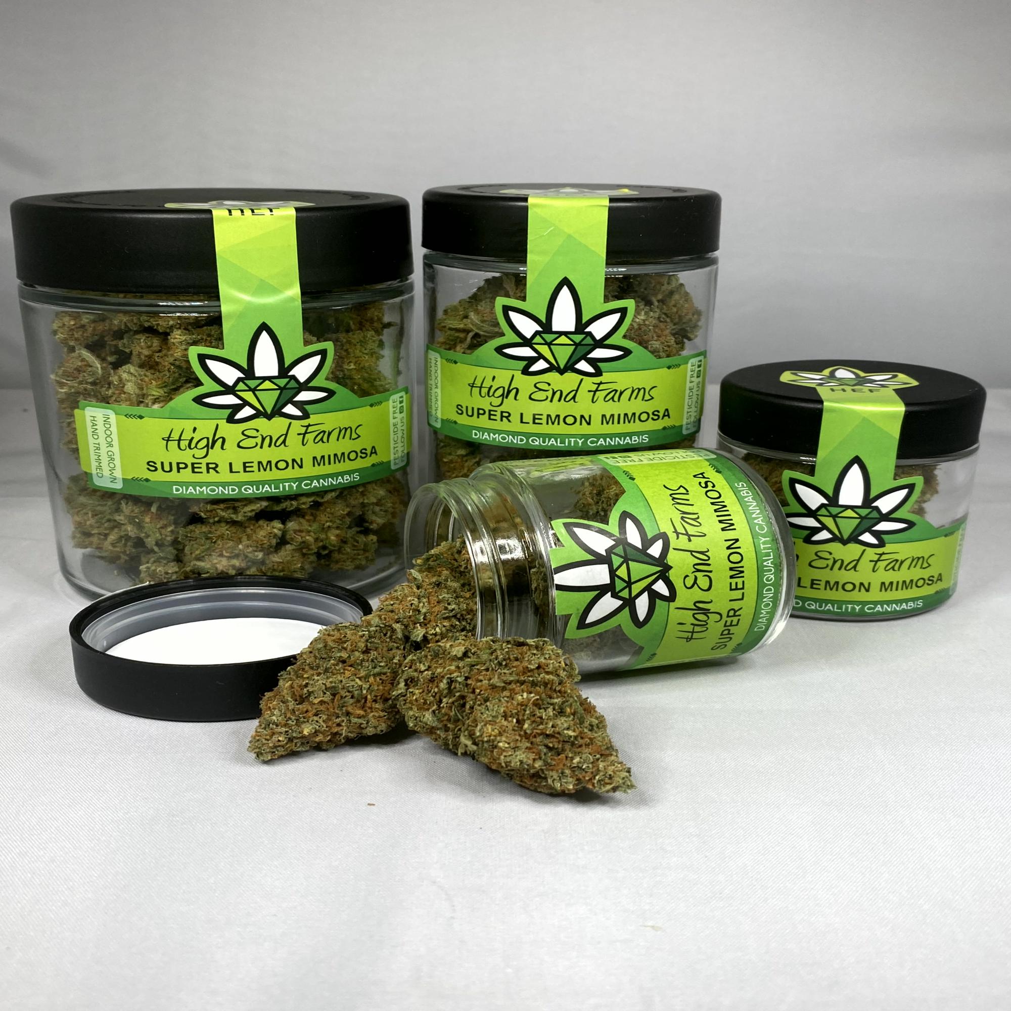 Super Lemon Mimosa | High End Farms - Jane