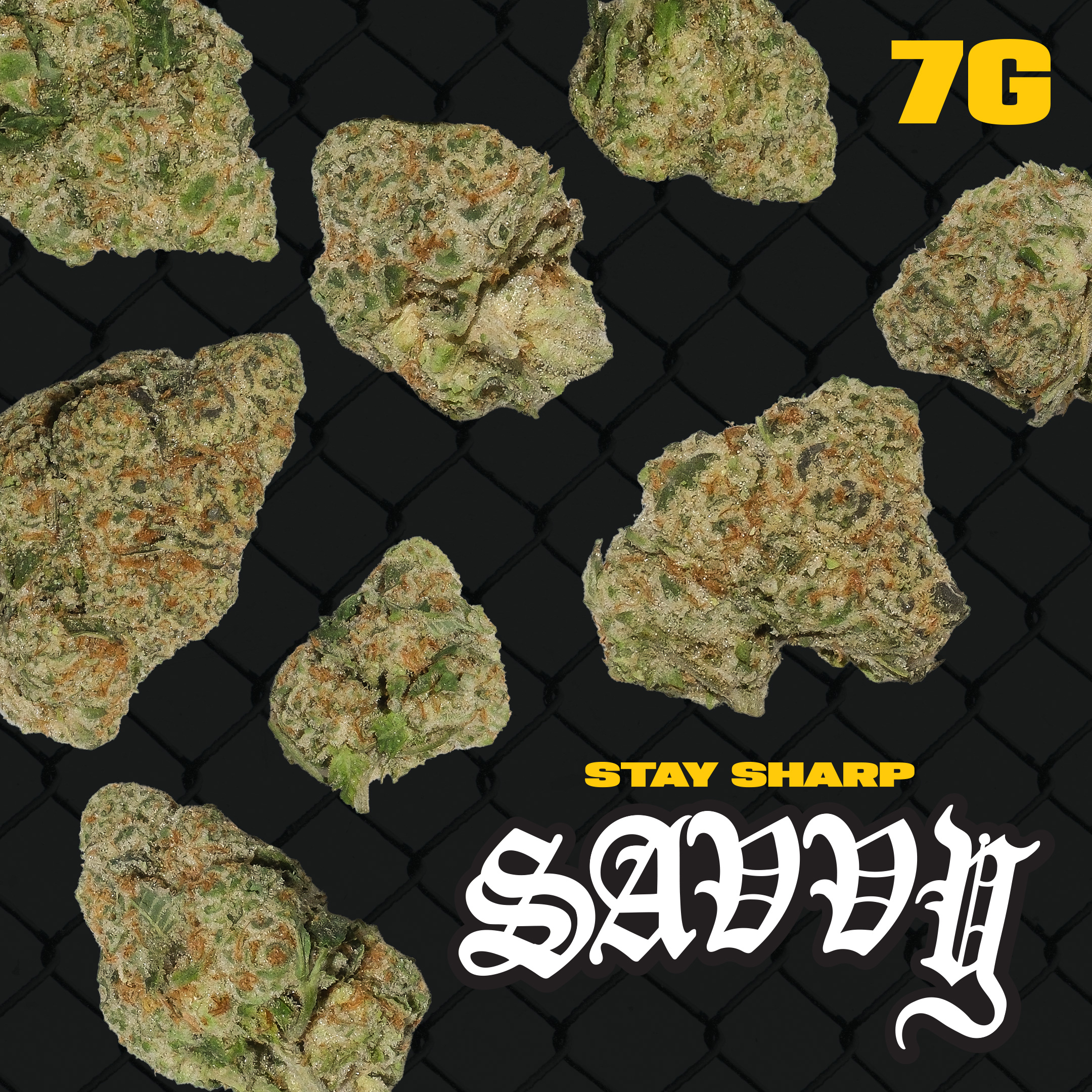 Modified Haze Flower | T23.97 | Terps 2.68 | H | 26415 | 7g