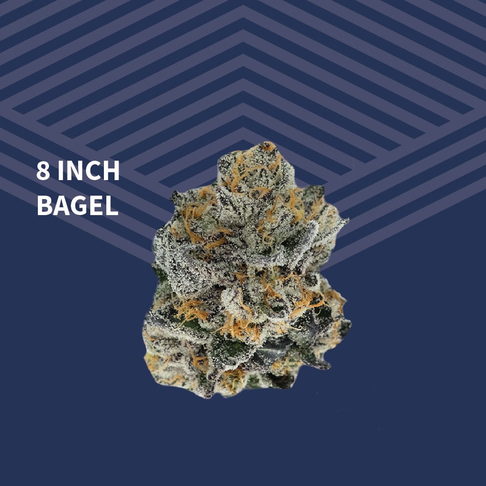 8 Inch Bagel - 1/8oz in Grand Forks
