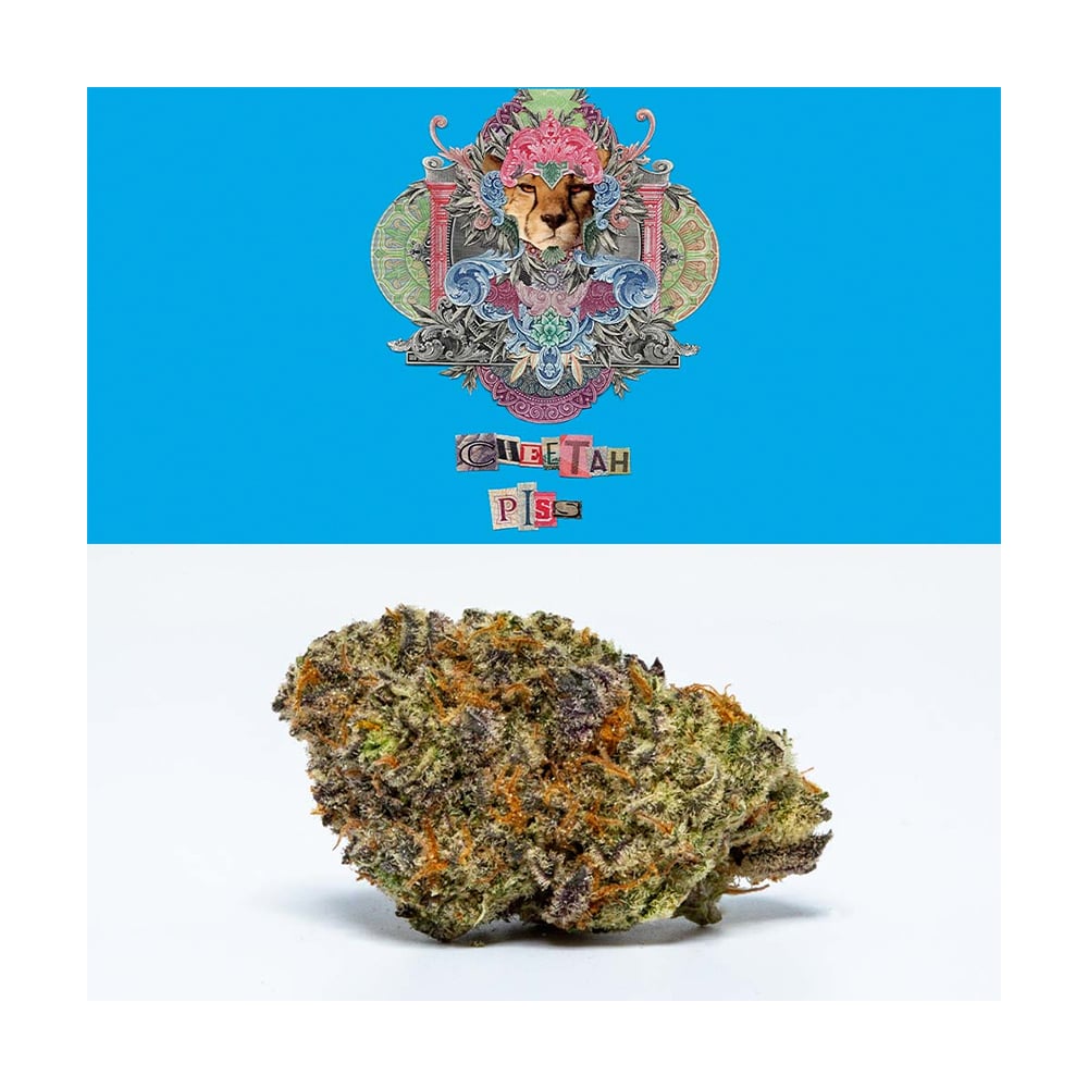 Cheetah P*ss
