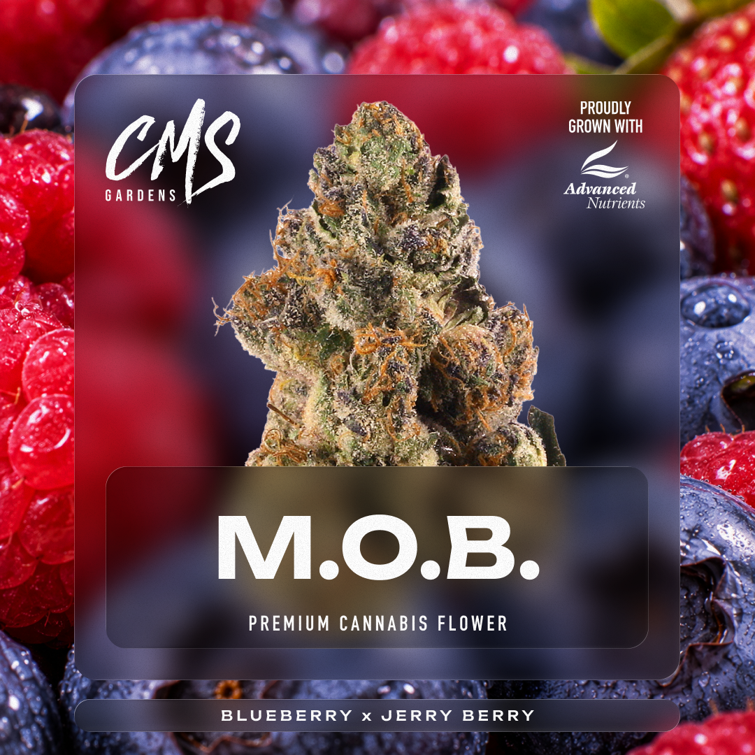 M.O.B. flower, as labeled by the cited photo source