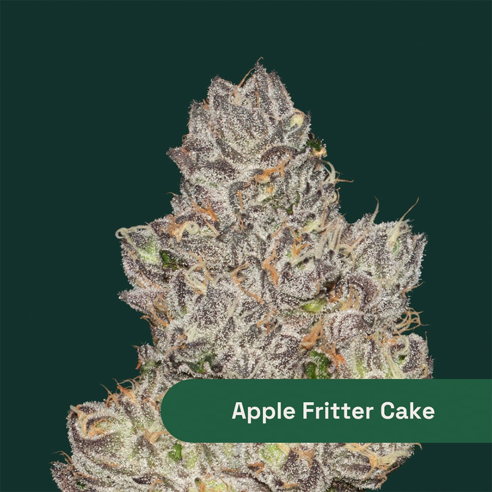 Apple Fritter Cake Apple Fritter Cake