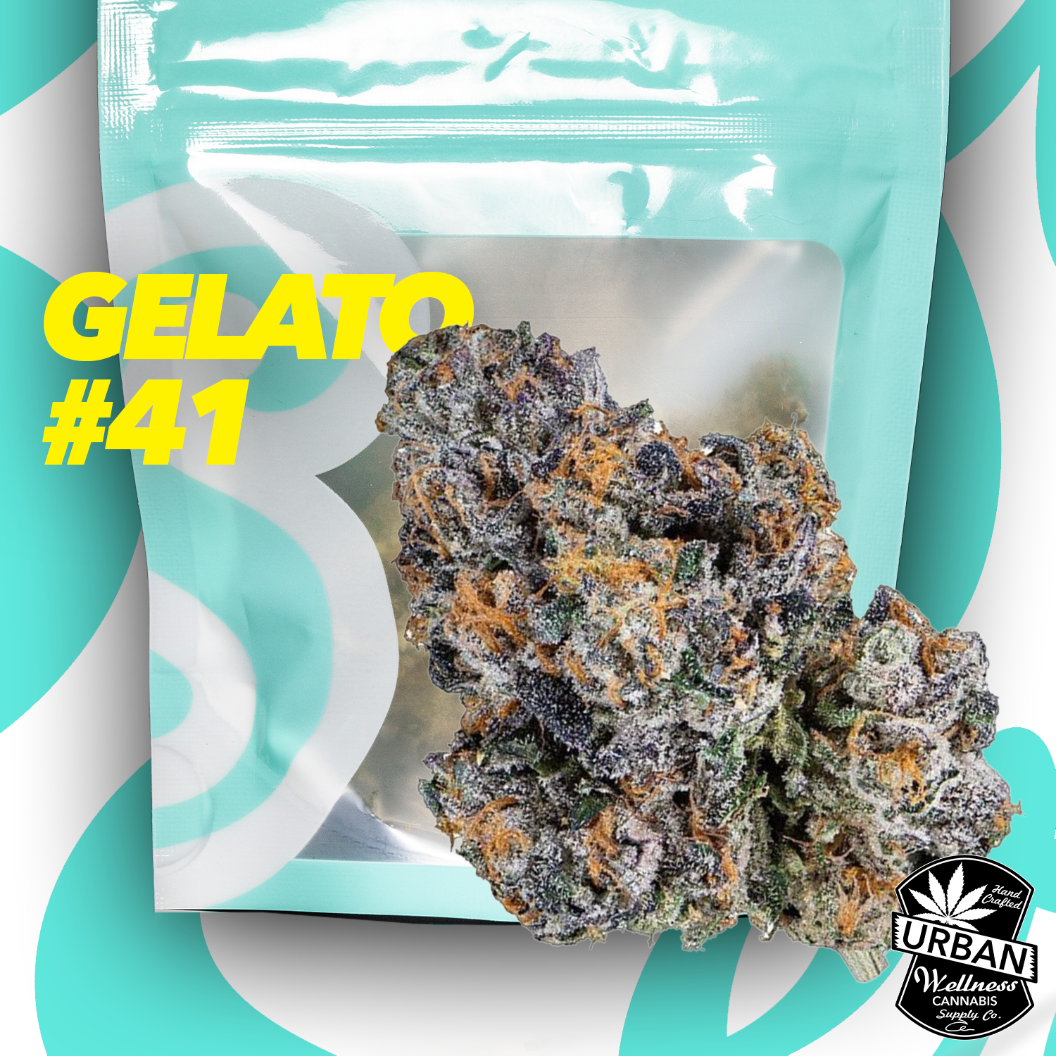 Gelato #41