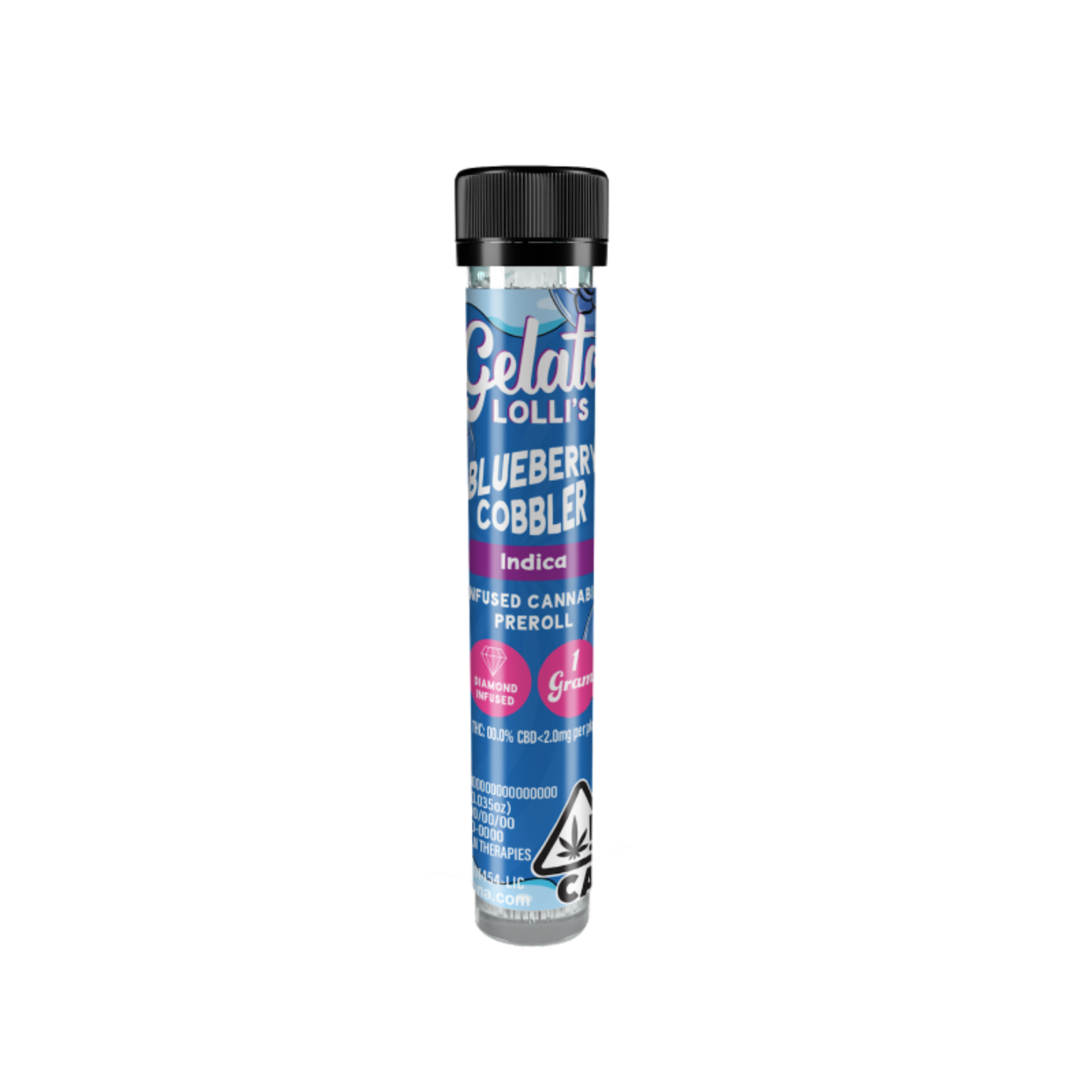 Blueberry Cobbler [1.2g]