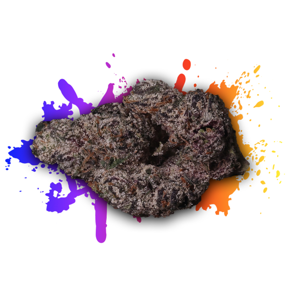 Lemon Cherry Gelato