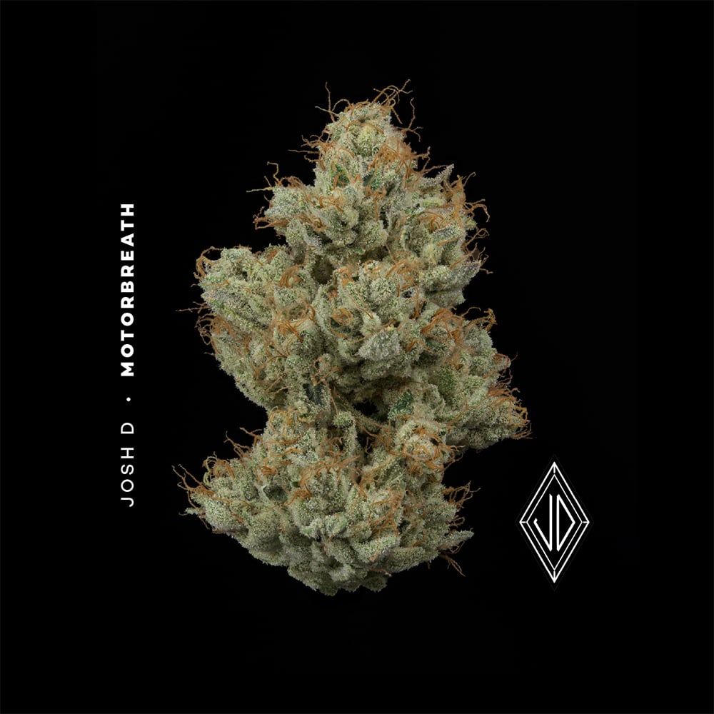 JOSH D - MOTORBREATH - [2.83G] - INDICA