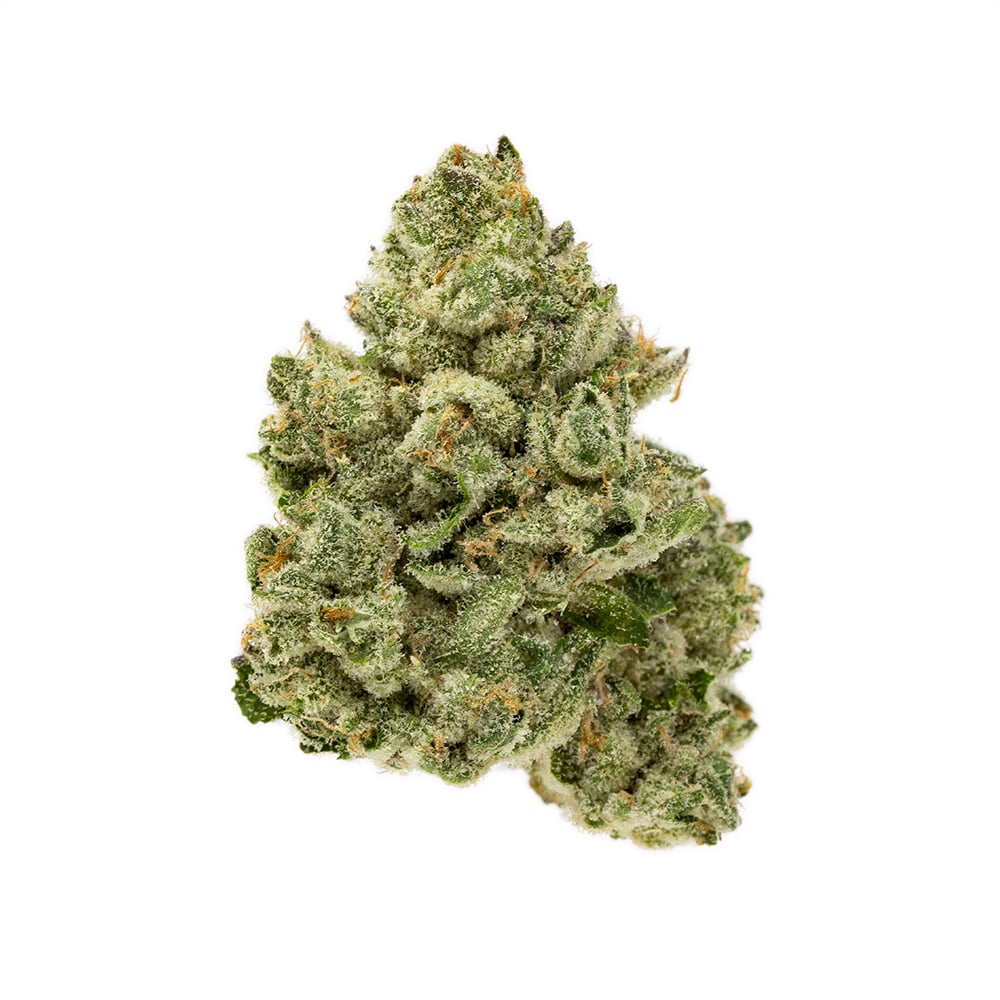 Pink Kush #2
