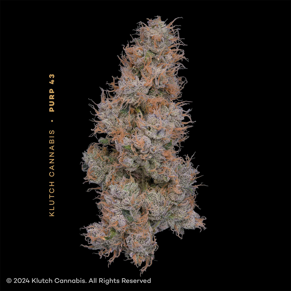 Zoap - 2.83g Whole Buds - Hybrid | Klutch Cannabis | Bloom