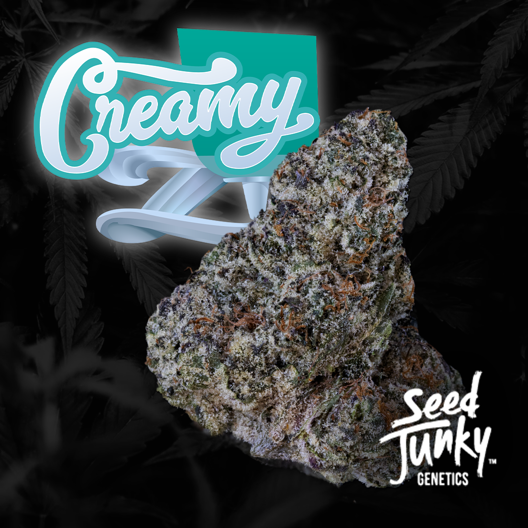 Creamy Z Seed Junky Jane