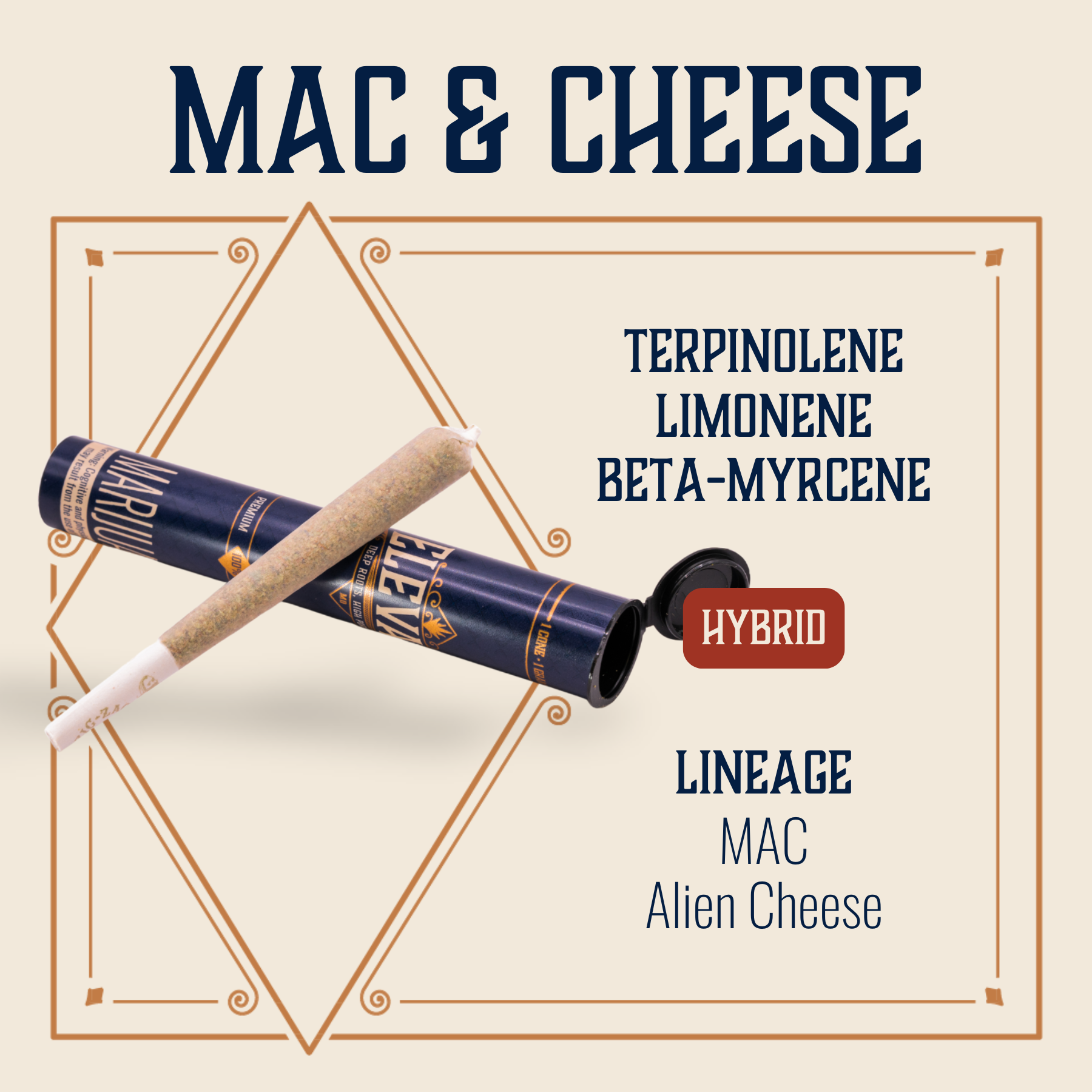 Mac & Cheese [1g]