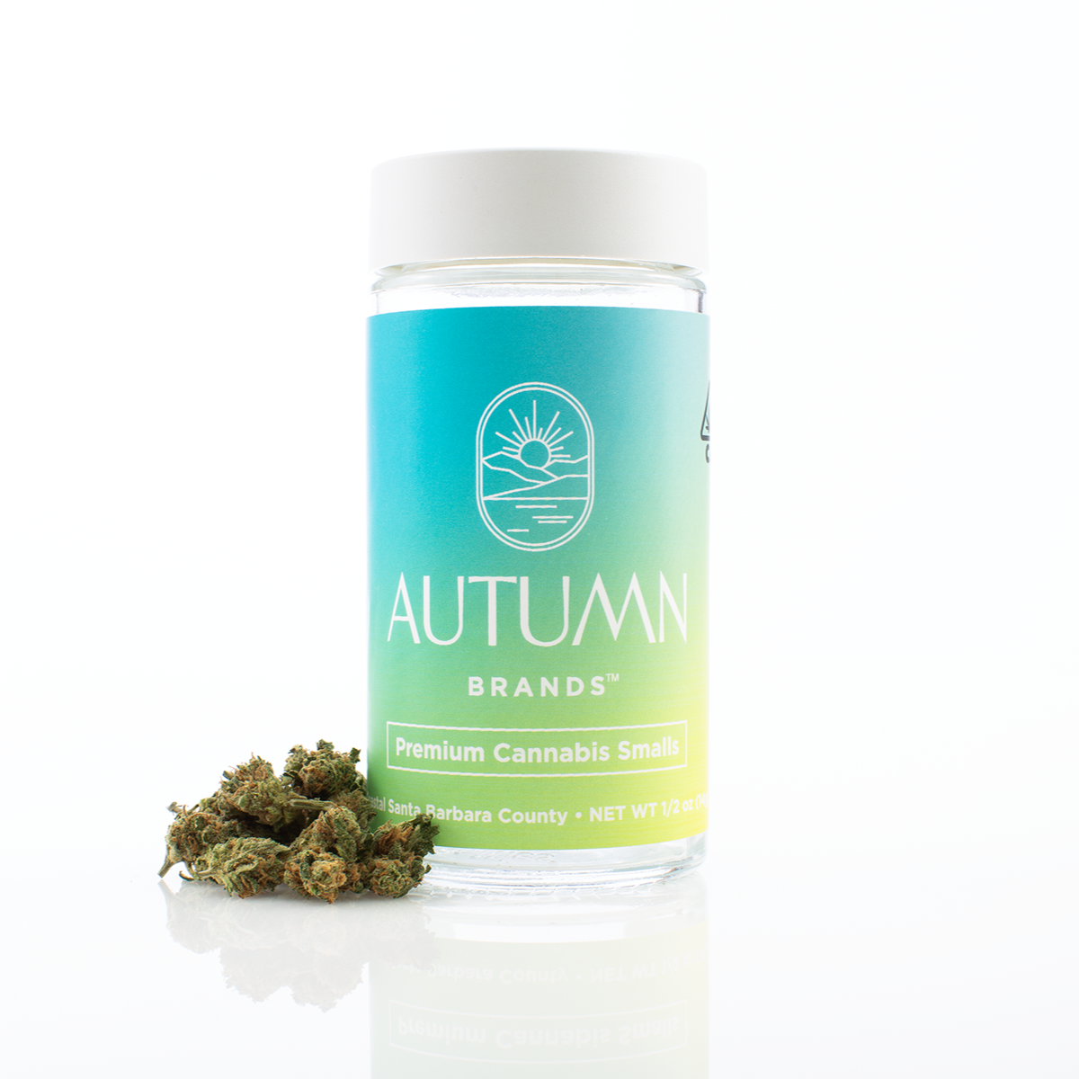 Blueberry Pancakes Blueberry Pancakes