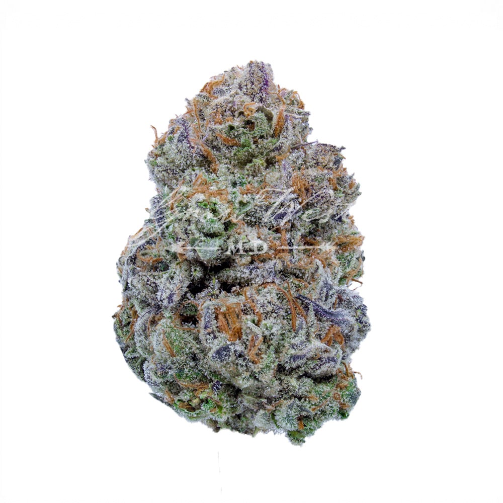 Southwest Stomper x William's Wonder