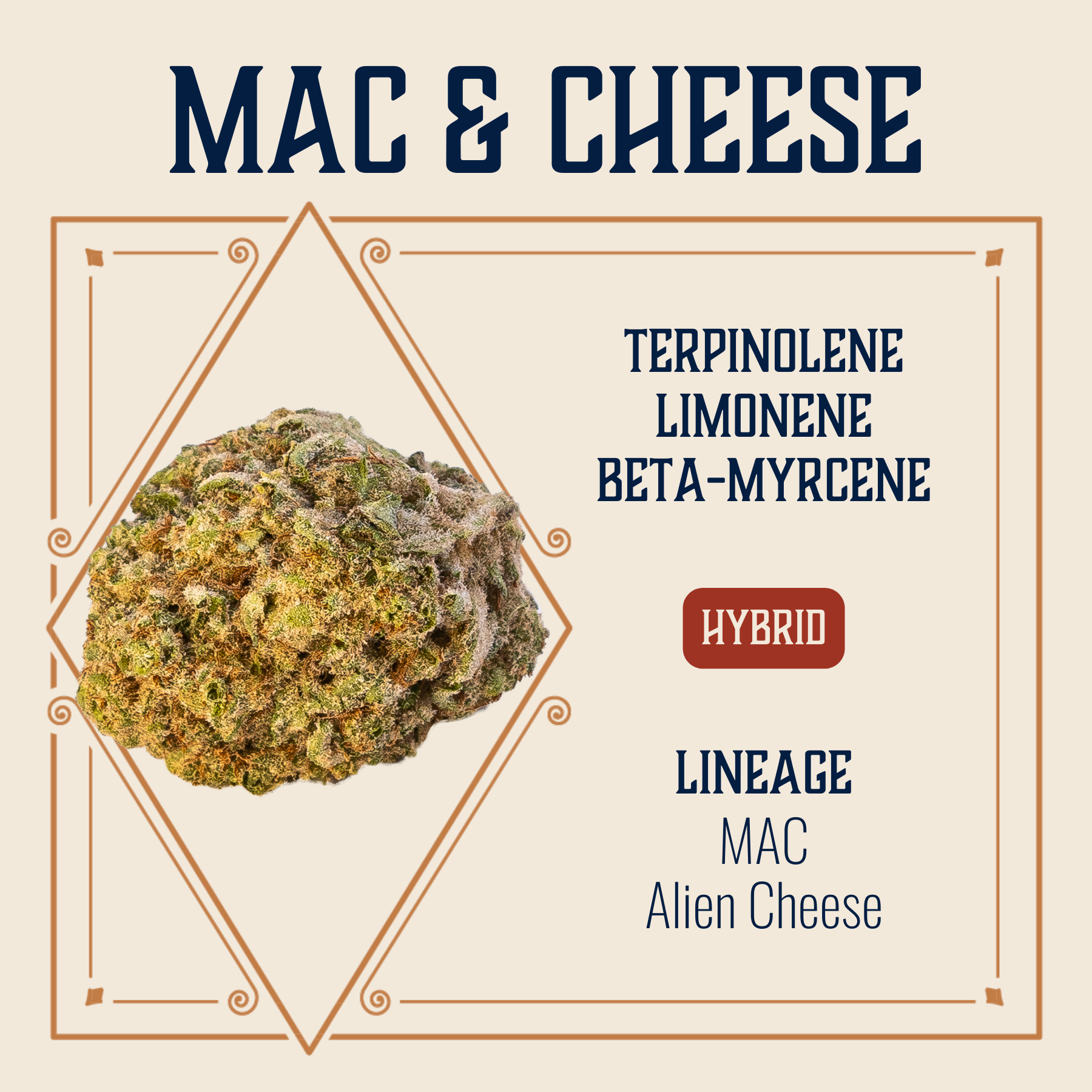 Mac Cheese