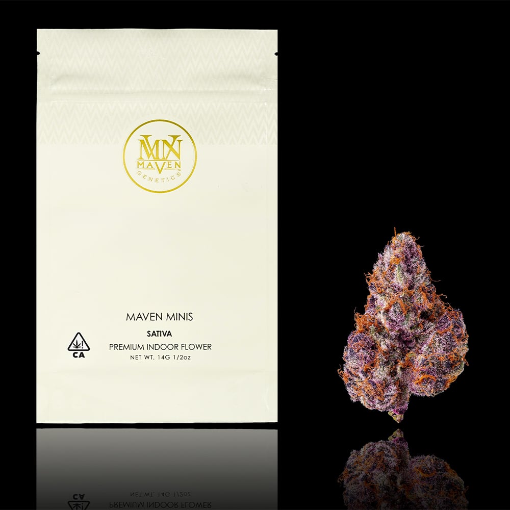 Lemon Cherry Tropicana Maven Minis [14g]
