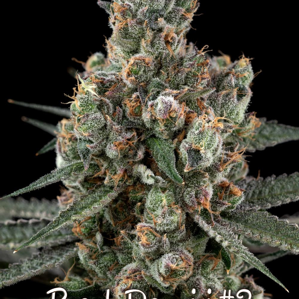Peach Daquiri #2