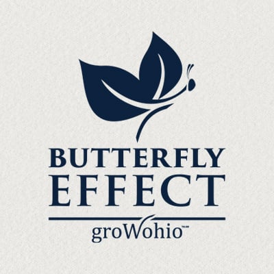 Butterfly Effect logo