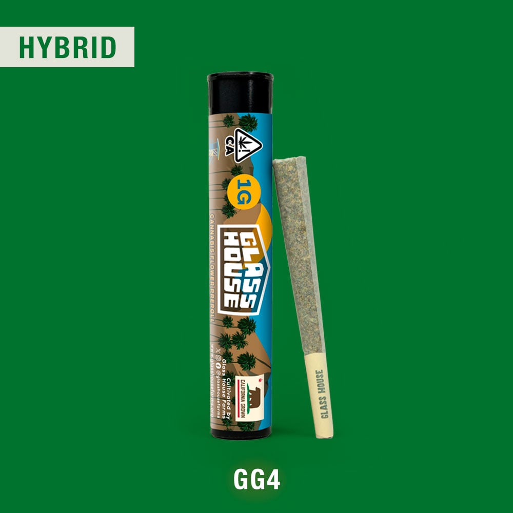 GG4 [1g]