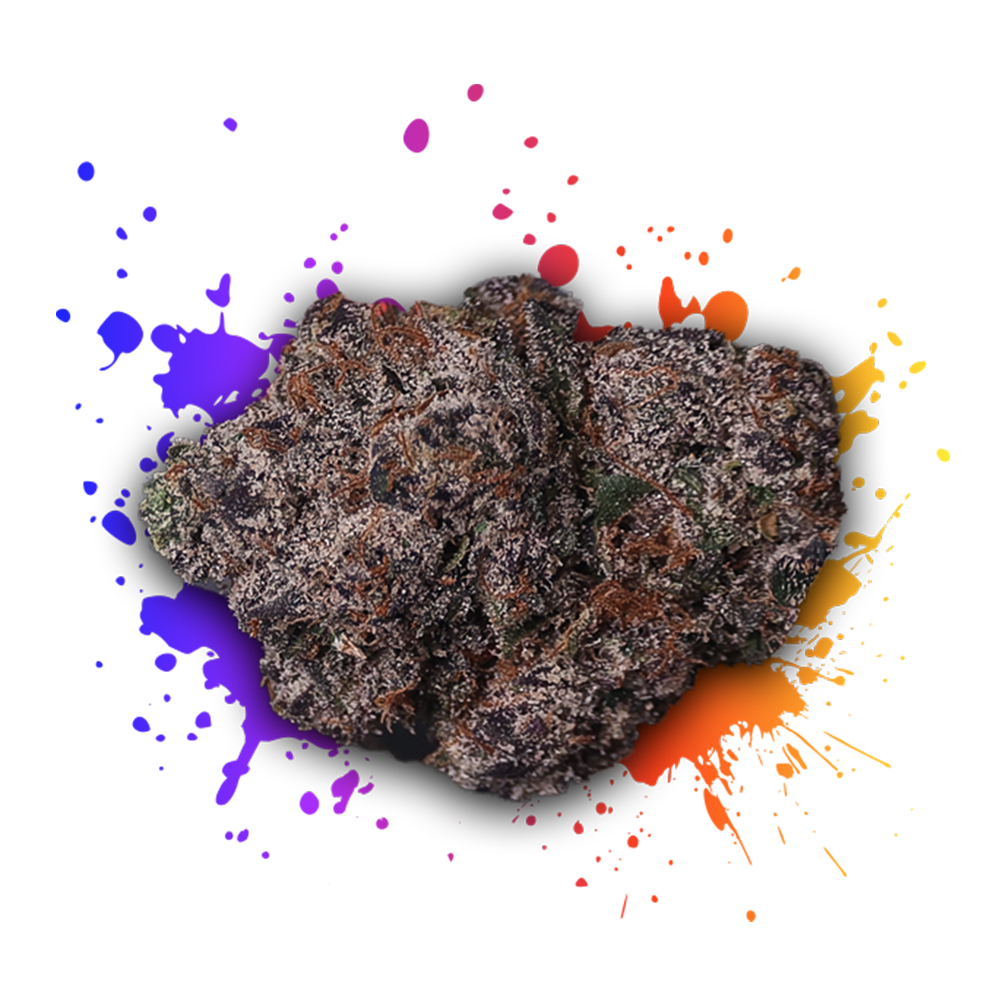 Mt. Gelato