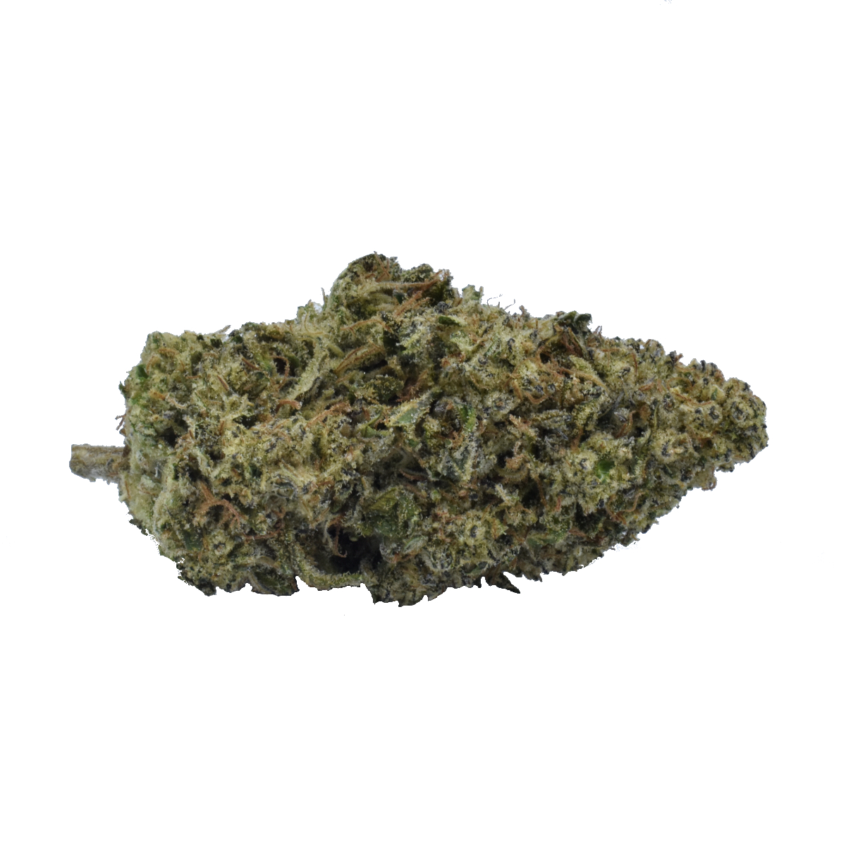 Shop Mule Fuel | Sebastopol