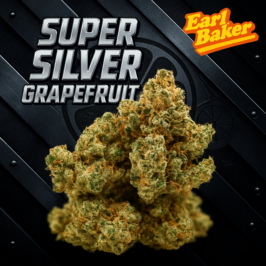 Earl Baker - Super Silver Grapefruit (S) Flower  C0110000105