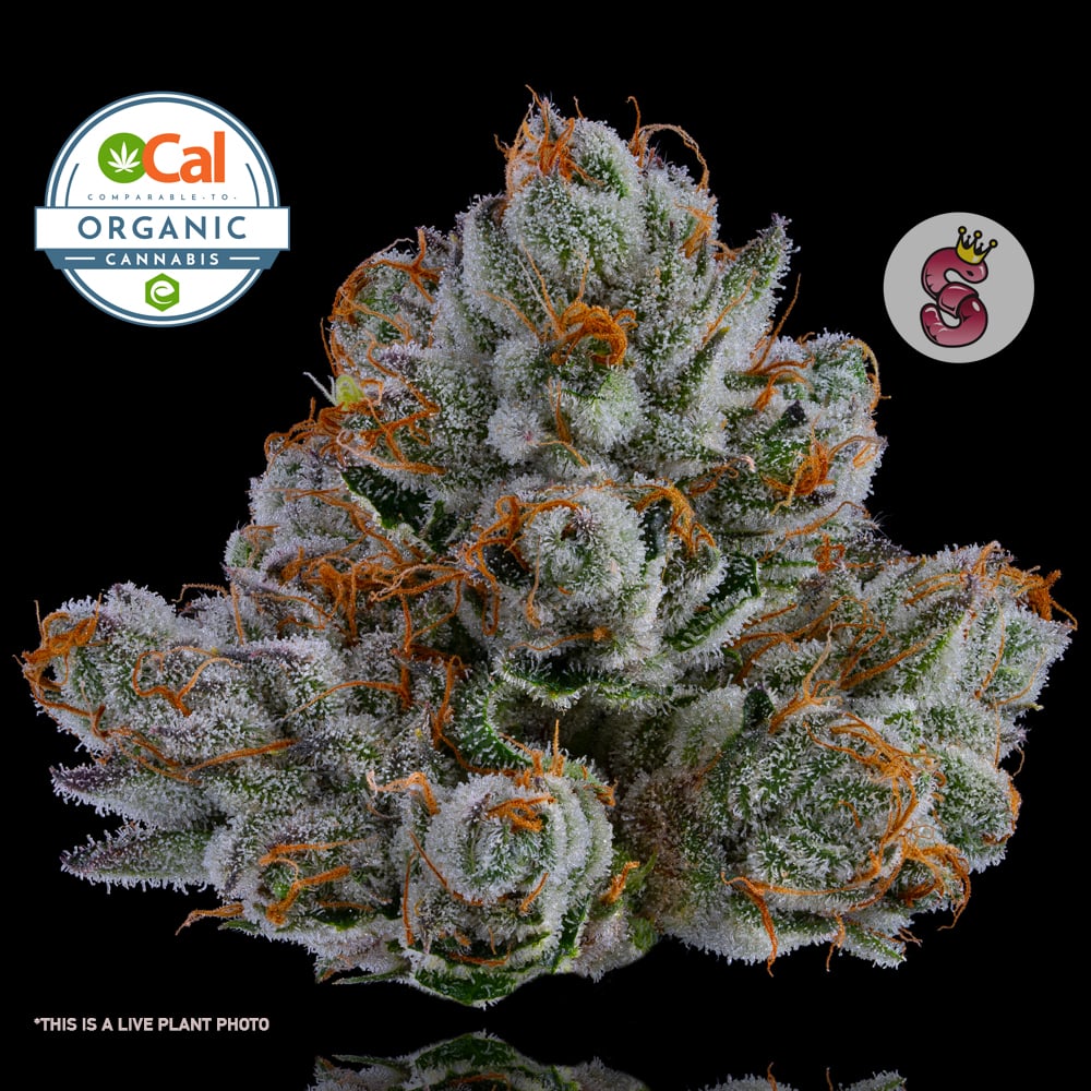 Larry Strawberry Larry Strawberry