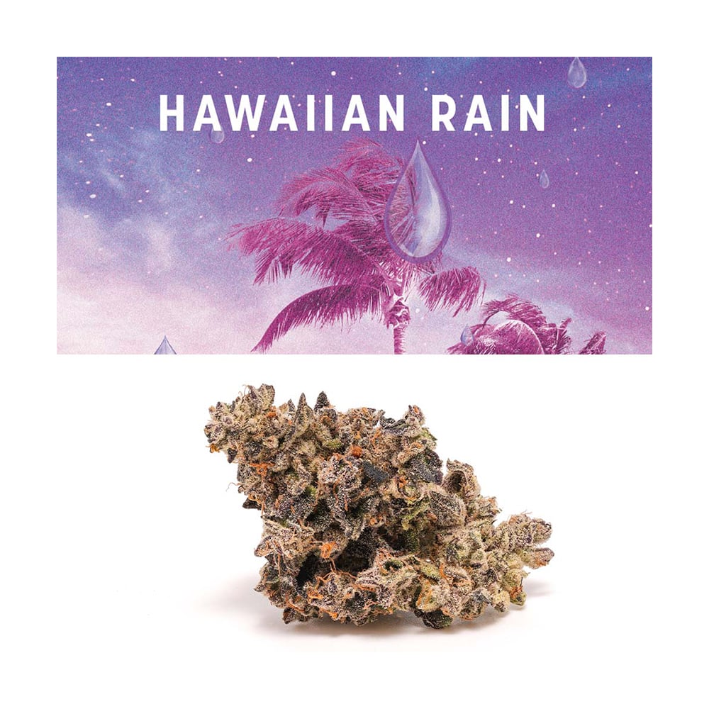 Hawaiian Rain Hawaiian Rain