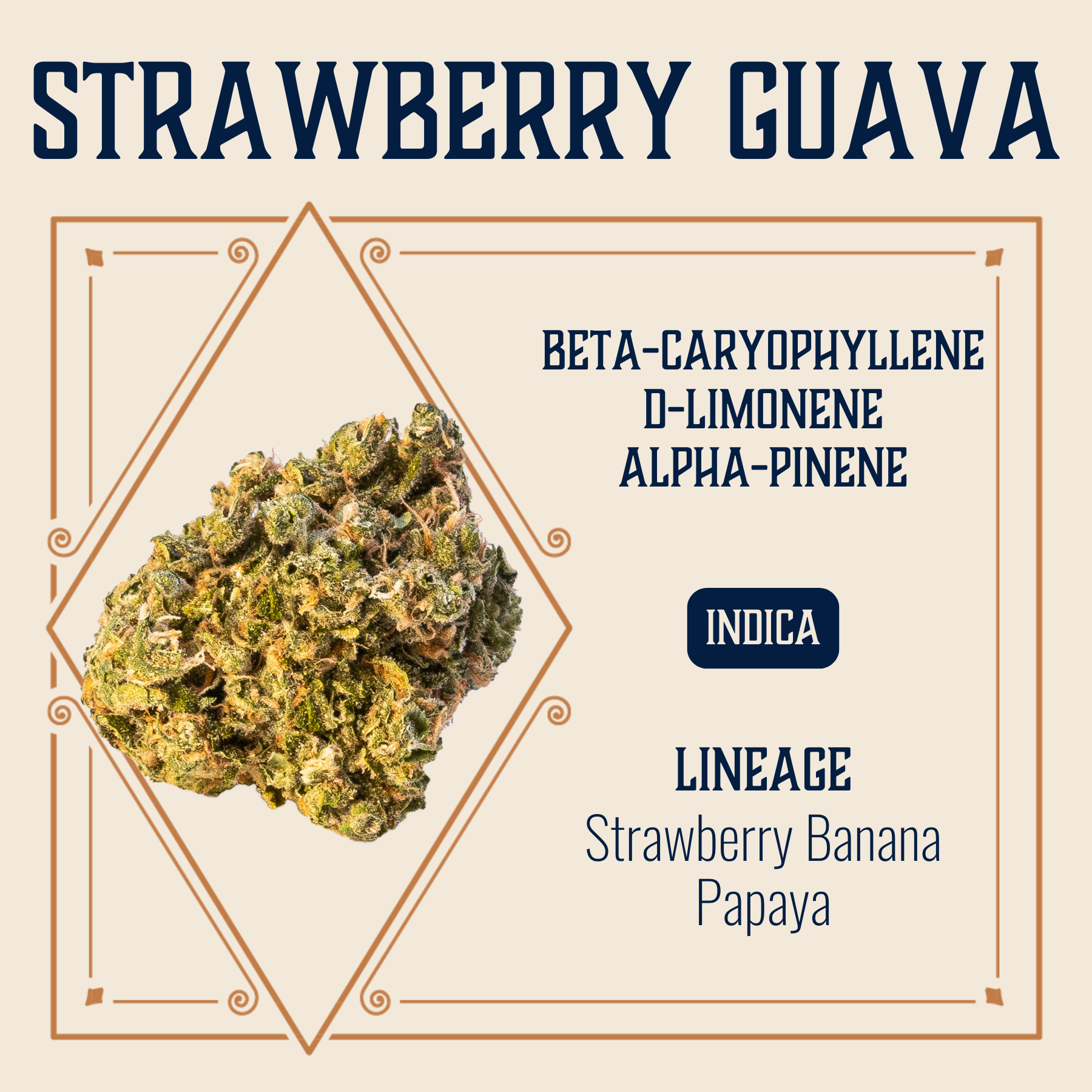 Strawberry Guava