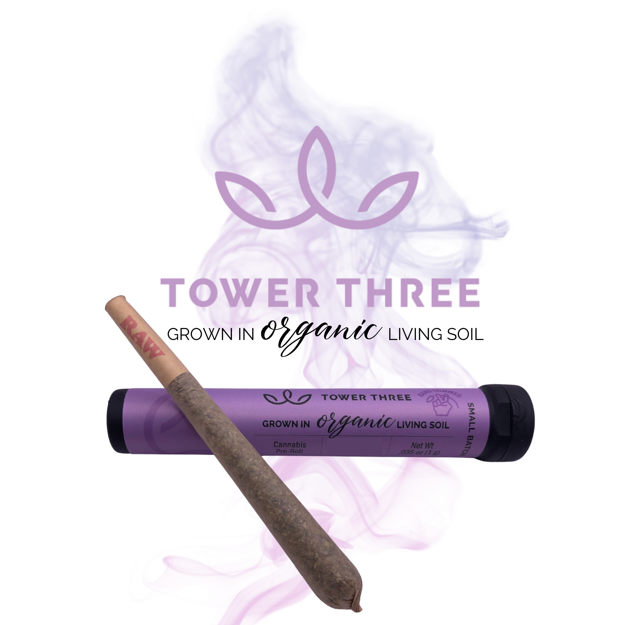 1g - East Coast Irene