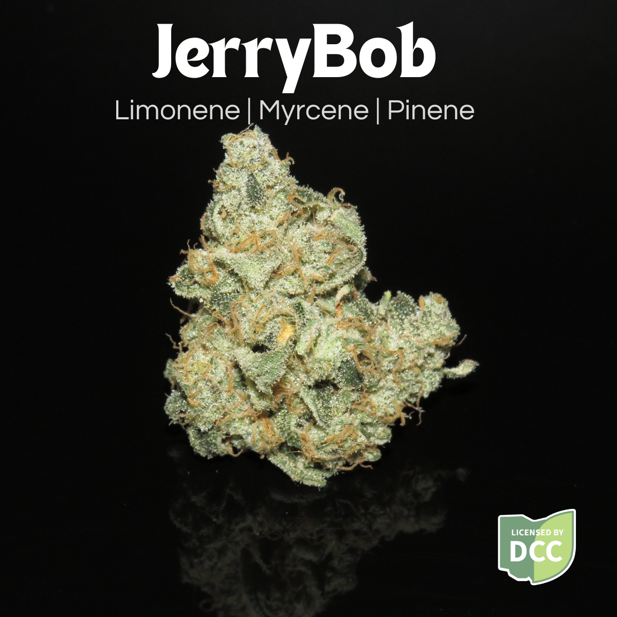 FARKAS FARMS - JERRYBOB  HYBRID