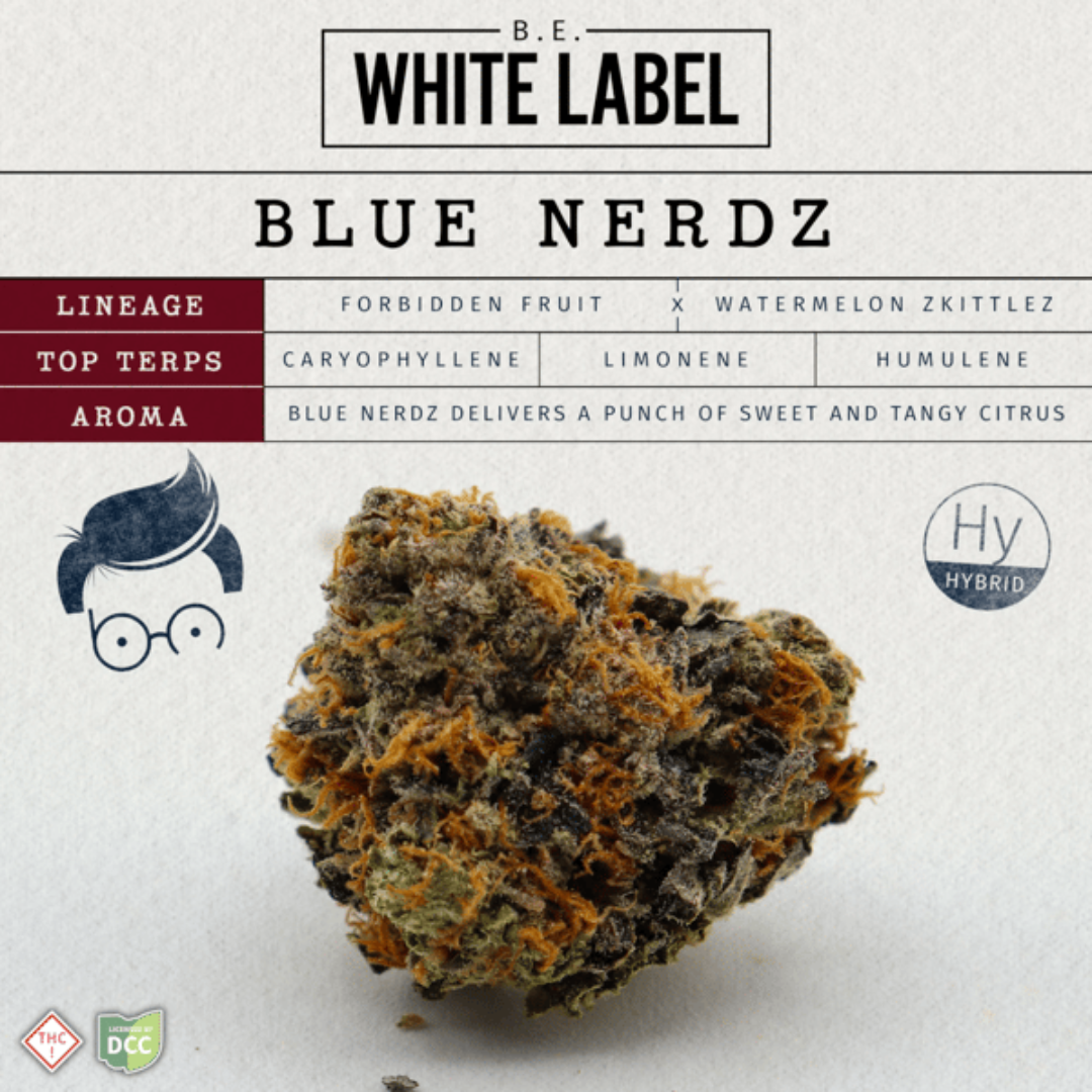 BLUE NERDZ - [14.15G] - HYBRID