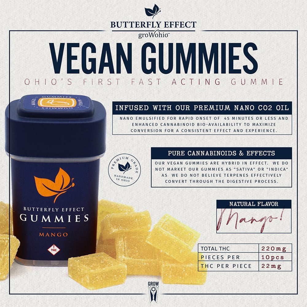 220mg Mango Gummie Butterfly Effect Butterfly Effect Premium Edible