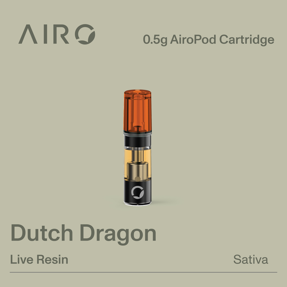 RC Dutch Dragon
