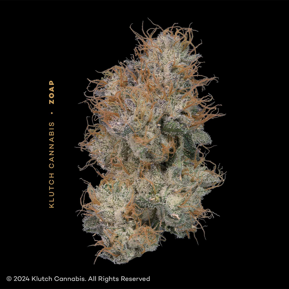 9deb47bd-7966-4d02-971b-