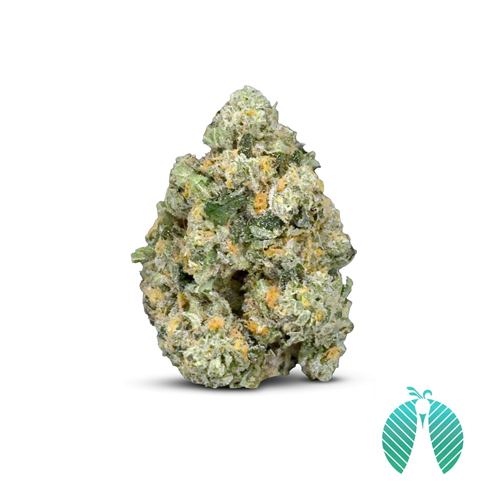 MALOWI ピスタチオ　アンドメディカル Shop Zello | Organic Remedies - McKnight Road Dispensary