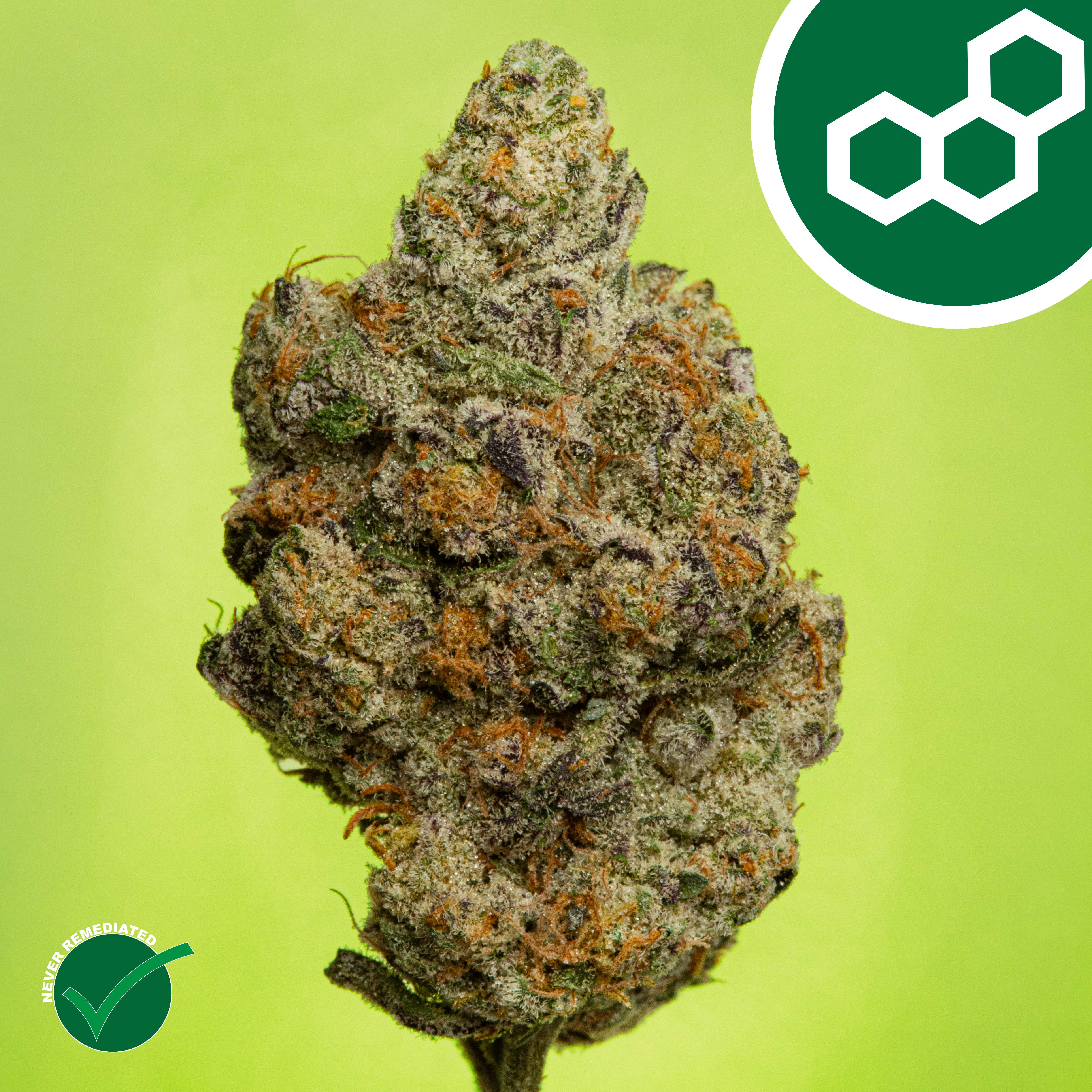 Carbon FBR Flower | T24.22 | 41470 | 14g"