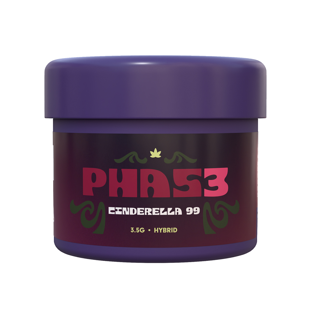 Cinderella 99