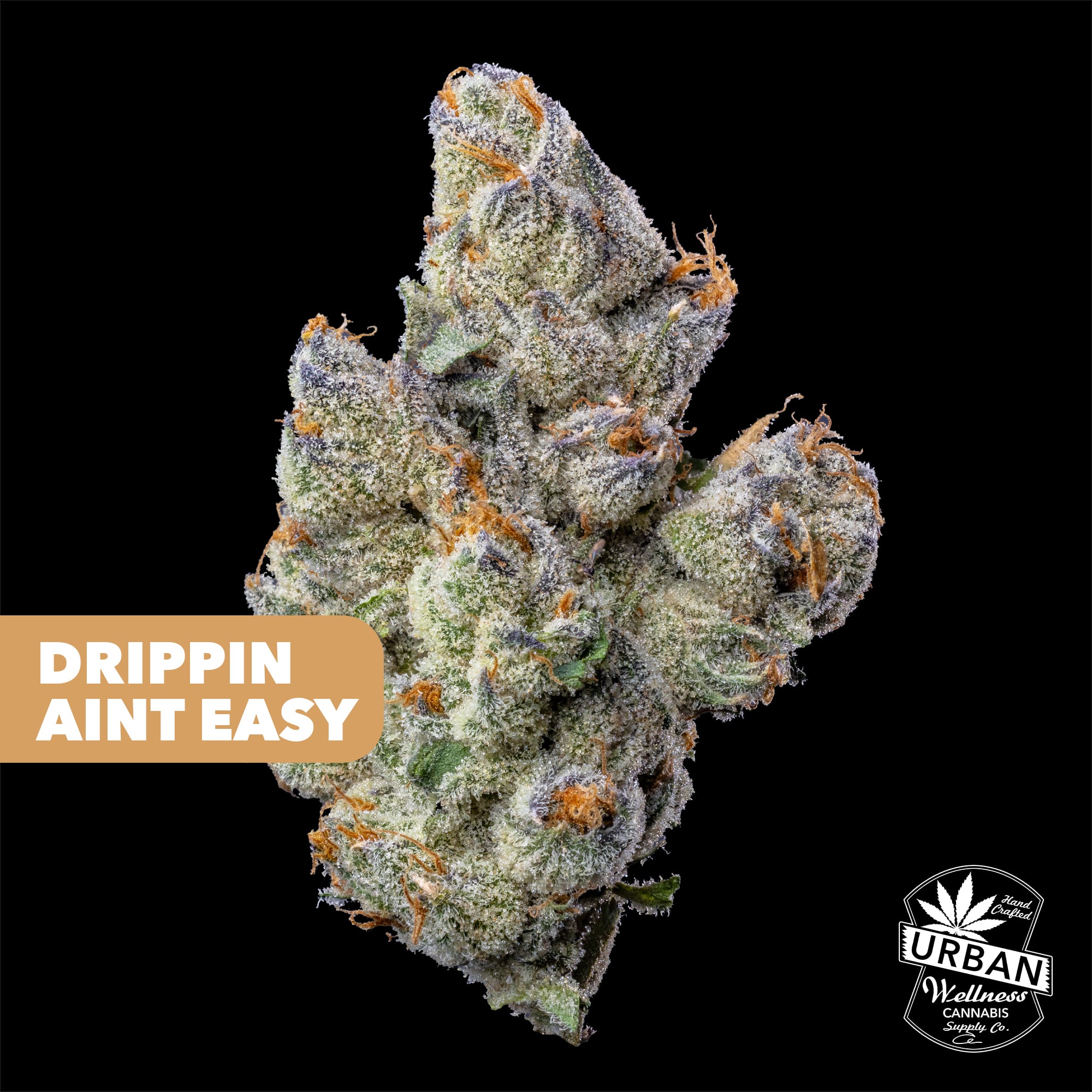 Drippin Aint Easy