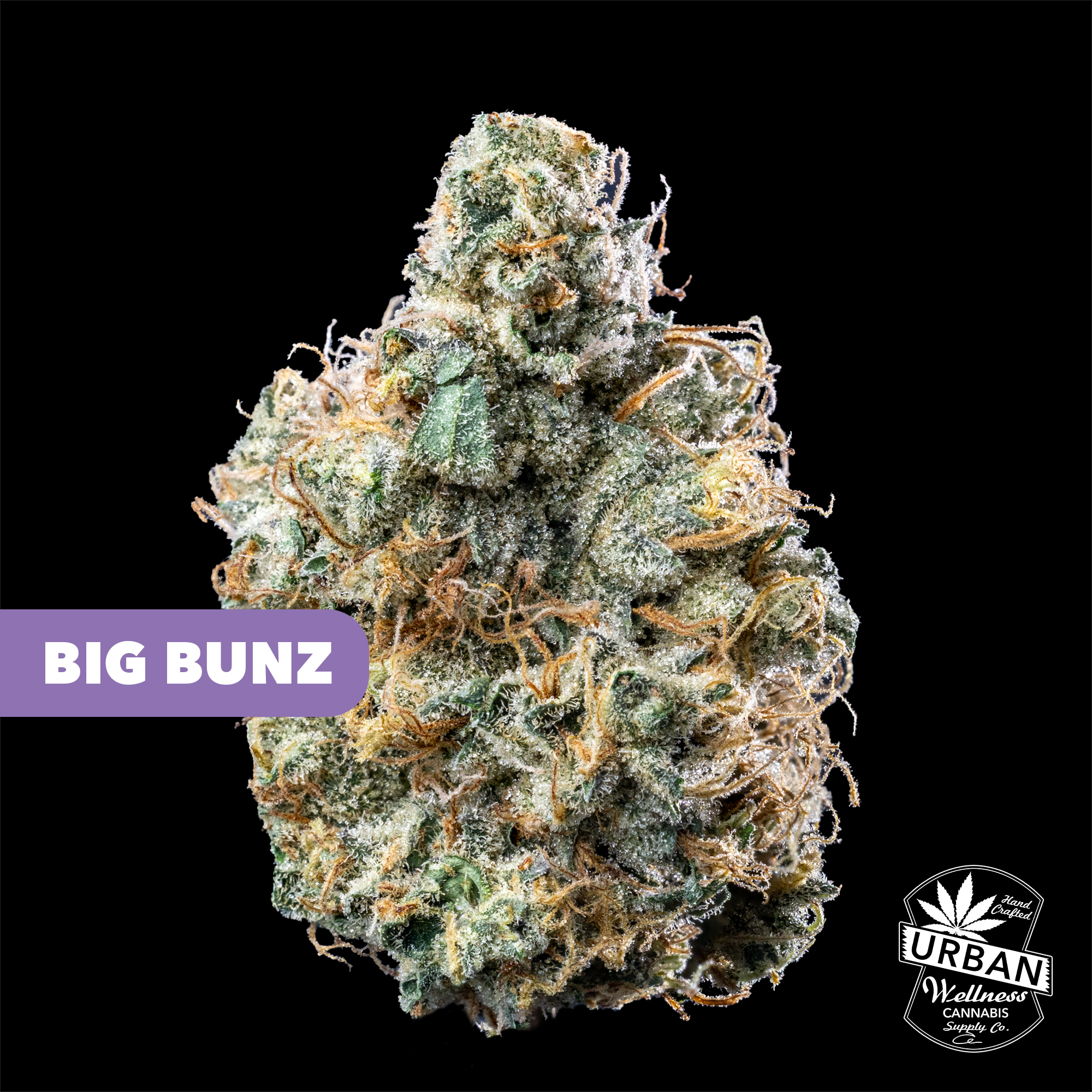 Big Buns