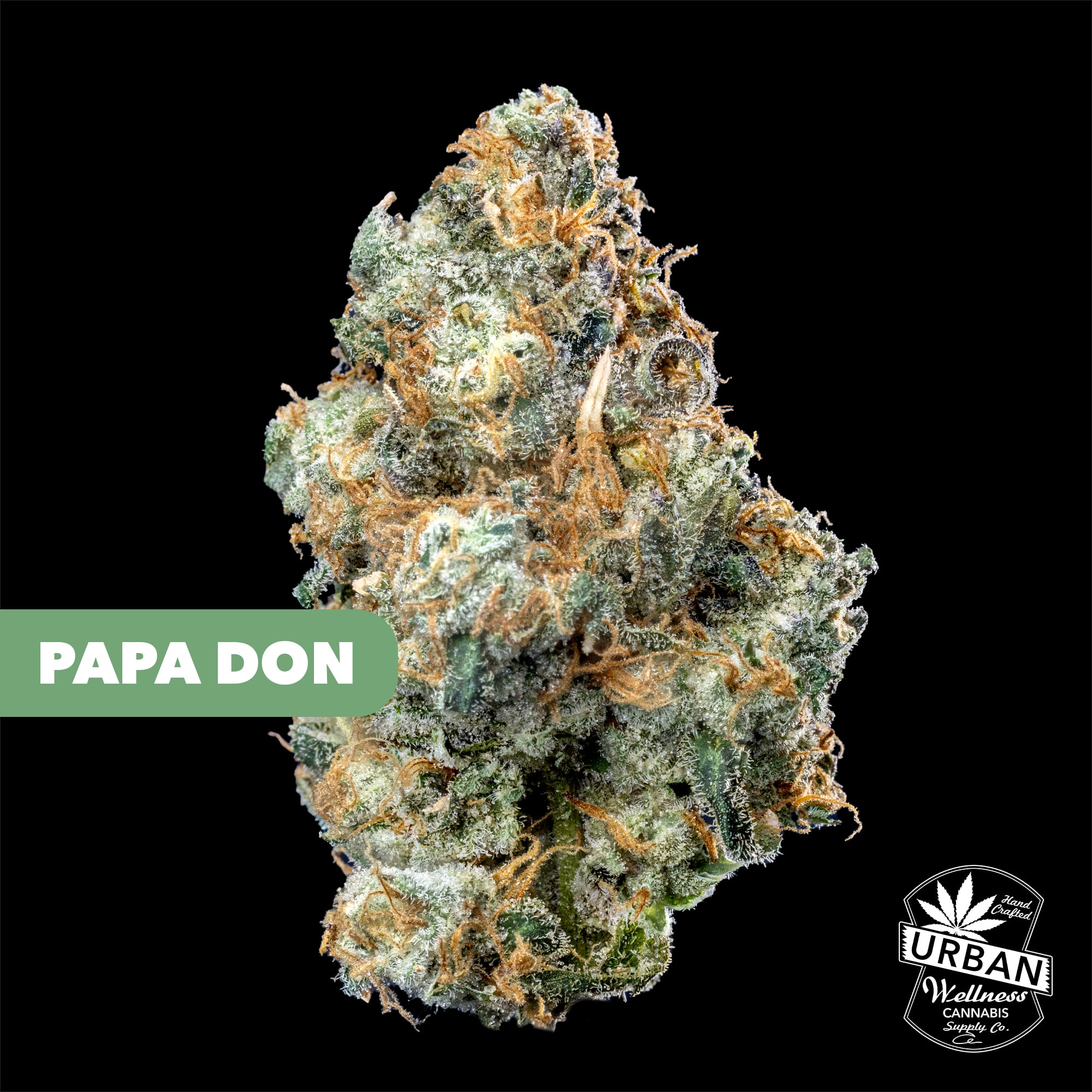 Papa Don