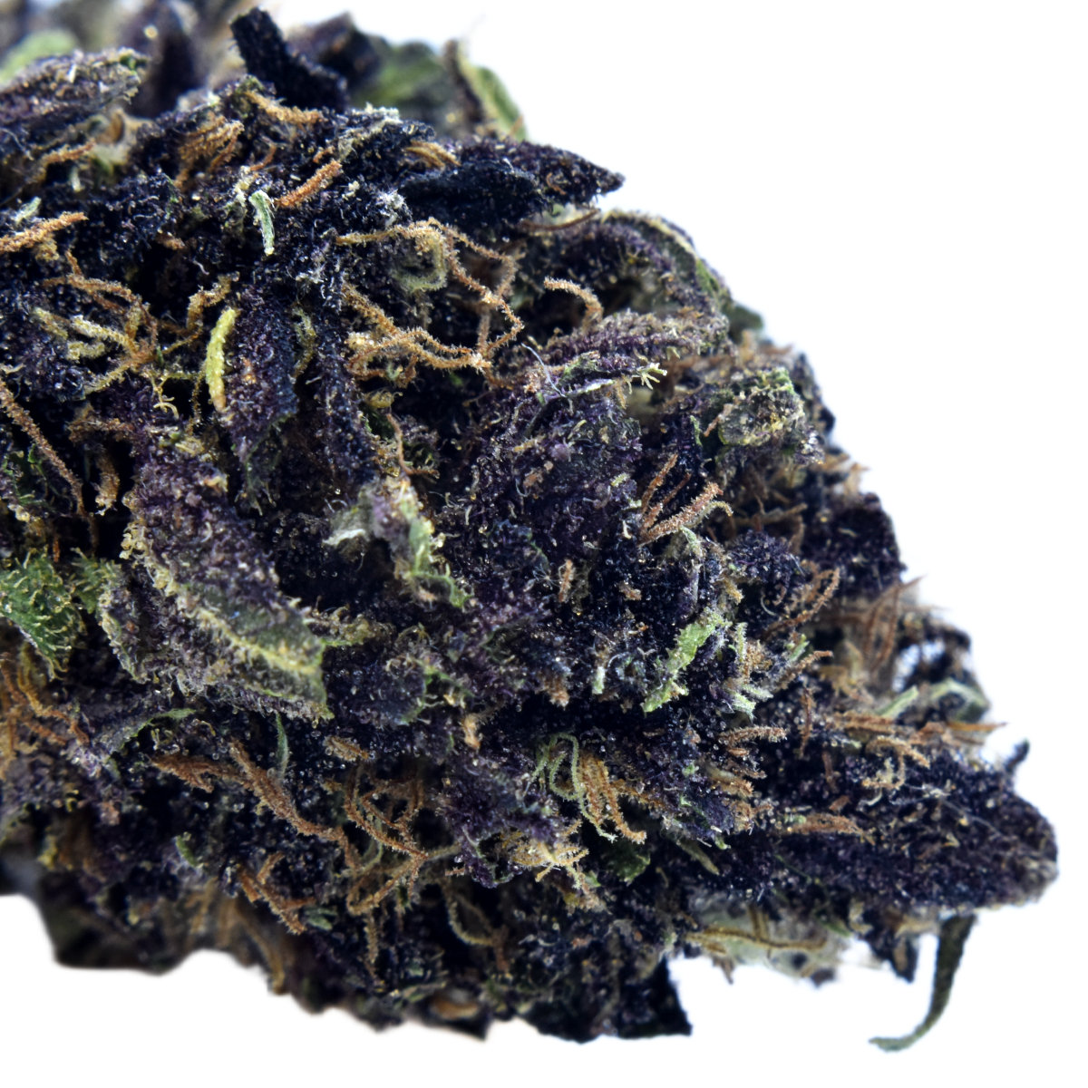 Shop #26 Reserve (AKA Ocimene Queen) | Solful - Petaluma