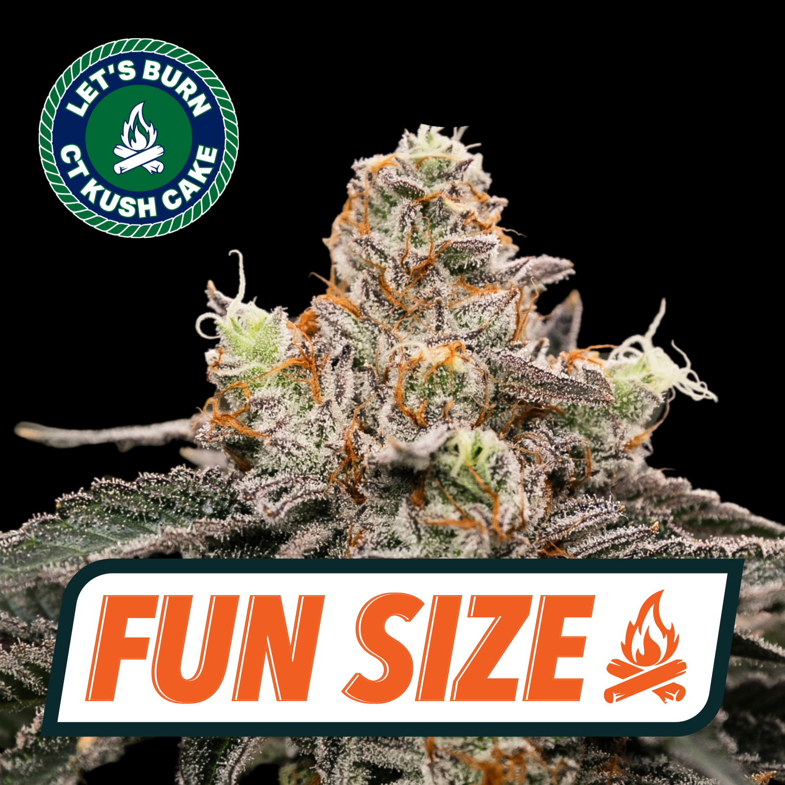 Let's Burn - CT Kush Cake (I) Smalls  C0200000029