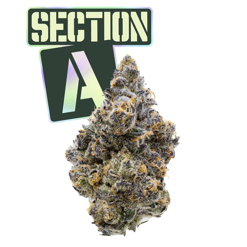Section A