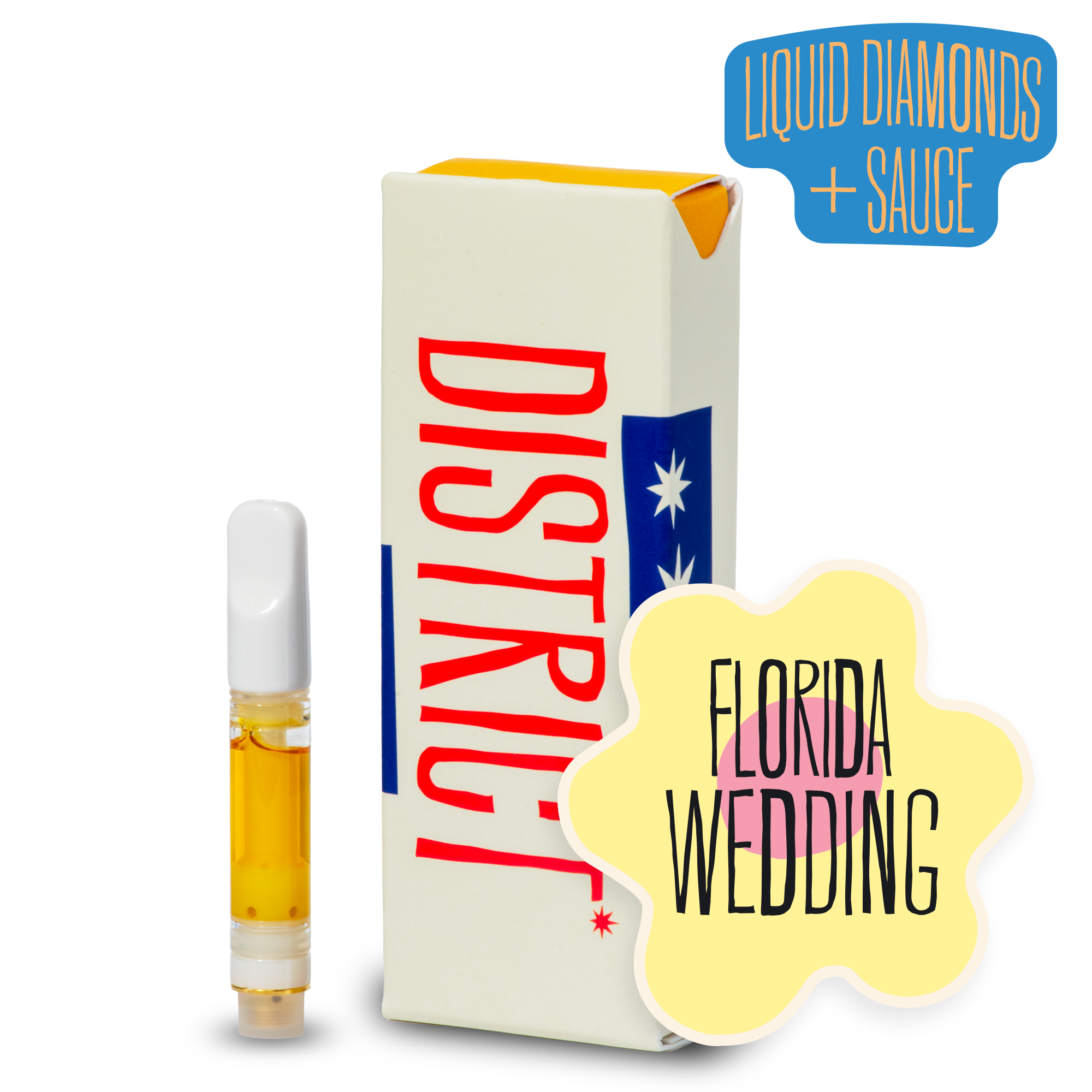 Florida Wedding