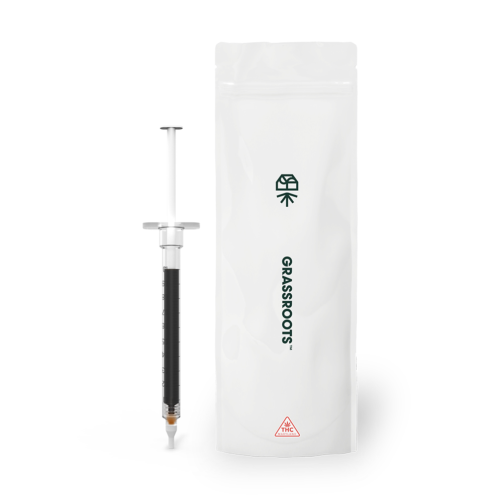 Star Dawg x Northern Lights