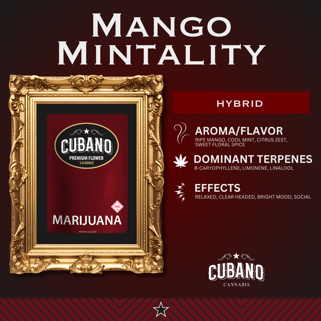 Mango Mintality