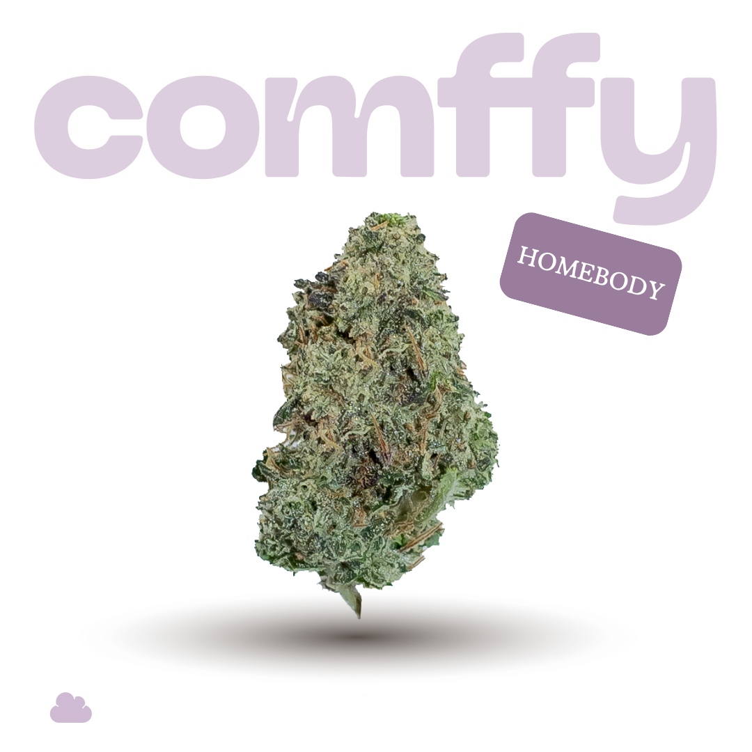 comffy - Homebody (I) Flower  C0140000224