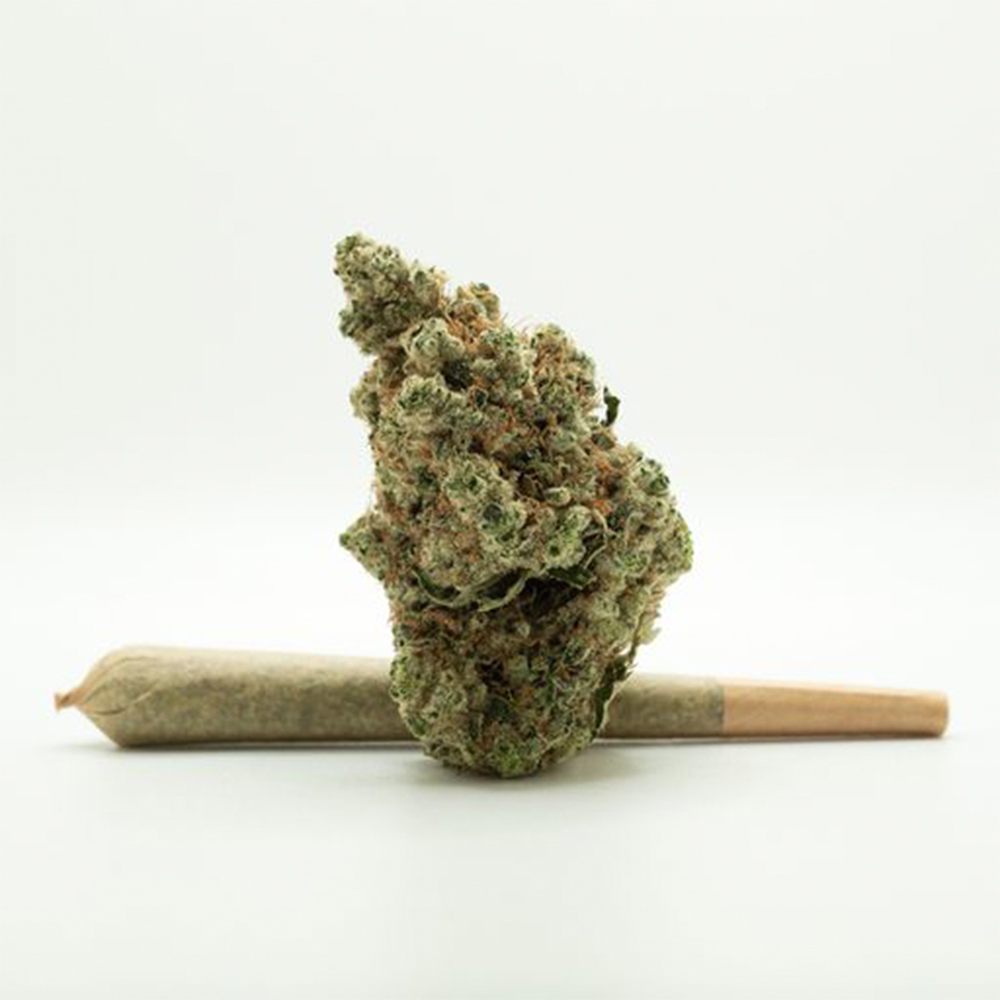 AGL - 95 Cook (H) 1g Pre-Roll 1pk (1g) C0010001019